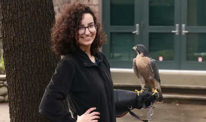 Stories From the Wild: A Traveler’s Perspective