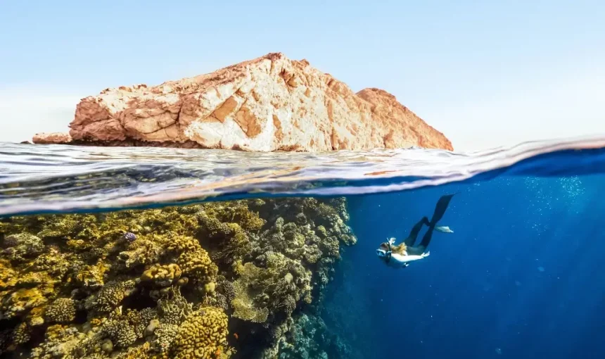 Top 5 Dive Spots You Should Explore This Year