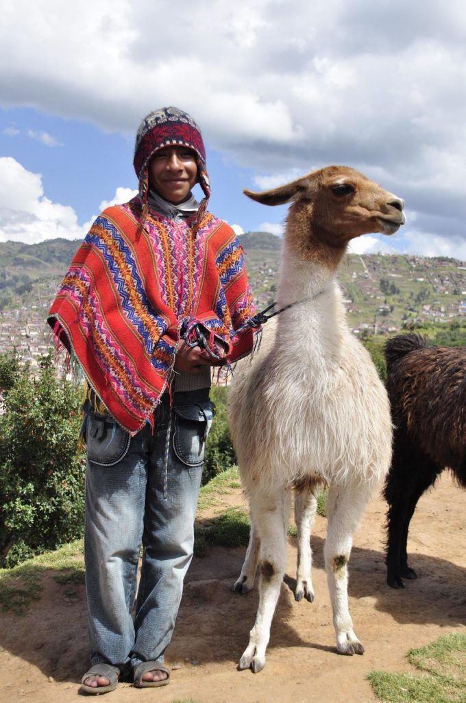 peru, mammal, andes, lama, height, poncho, peru, poncho, poncho, poncho, poncho, poncho