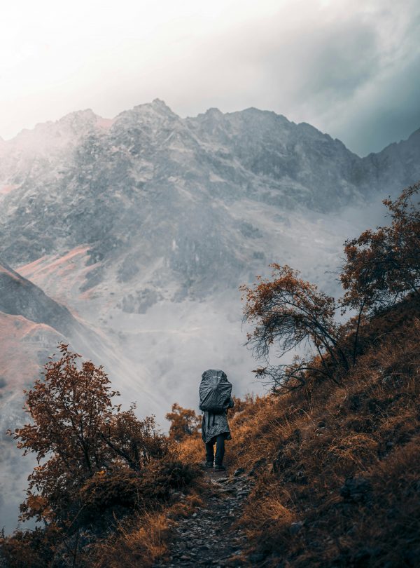 pexels-lorenzo-castellino-61076802-13971537