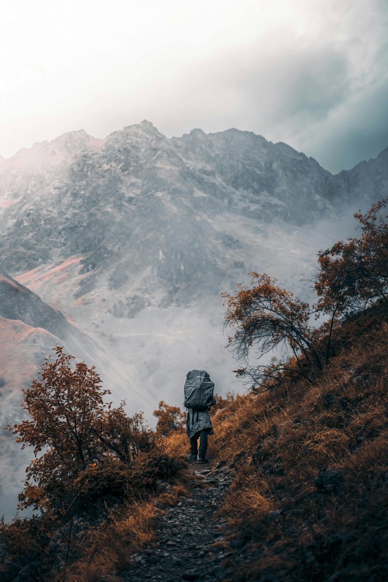 pexels-lorenzo-castellino-61076802-13971537